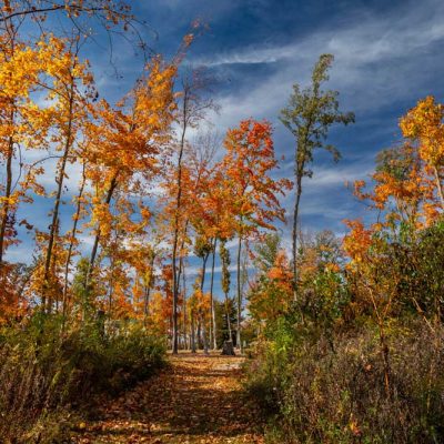 Russ Nature Reserve - fall